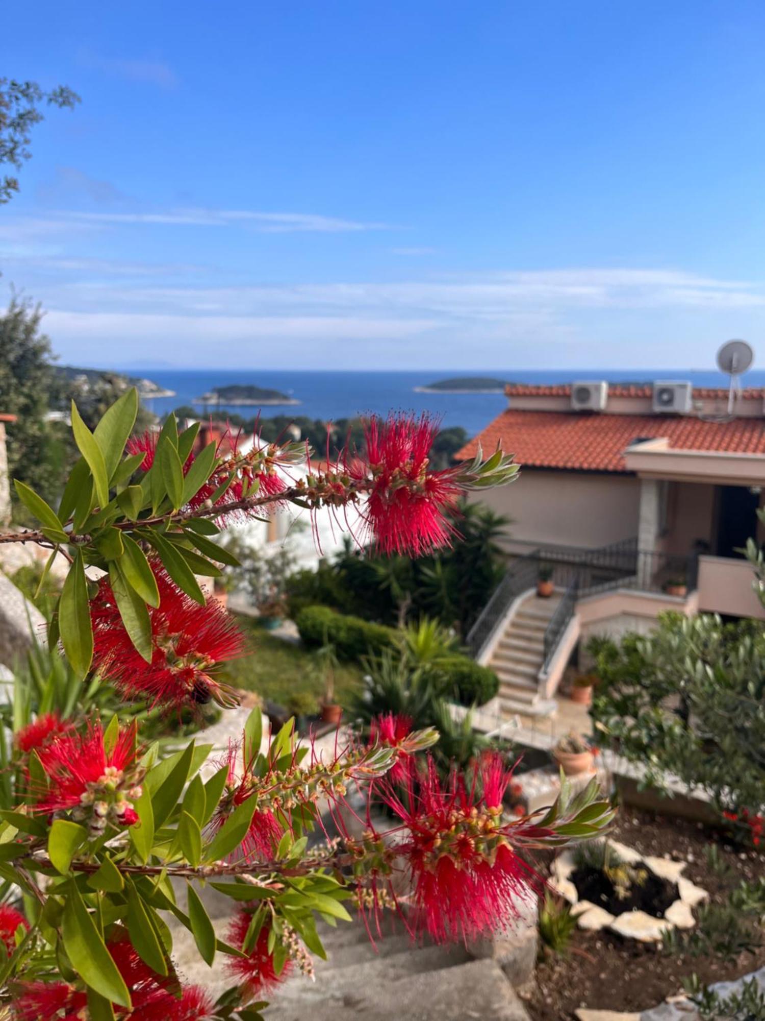 Top View Residence Hvar Town Extérieur photo